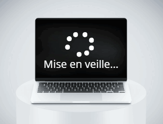 Toujours mettre en veille votre PC.